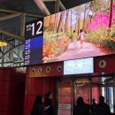 보성초교 | [충남예산 보성초 학교도서관 행사] 가족과 함께하는 그림책 예술놀이 후기