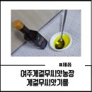 여주게걸무씨앗농장 어버이날 선물로도 좋은 게걸무씨앗기름
