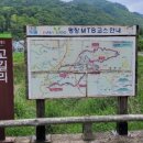 조동리 알프스 이미지