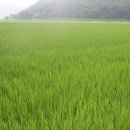 월령바람 티스토리