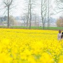 푸름농장2 이미지