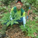 산삼하우스 이미지