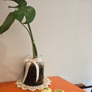 프룻앤커피