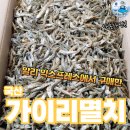 국산멸치 - 부천시 소사구 자유로 34 | 알리에서 구매한 국산멸치 가이리-수산물전문가 꼼꼼후기
