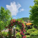 소나무이야기 펜션 이미지