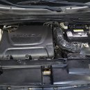 SHARK MOTOR OIL 이미지