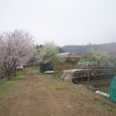 구수리 낚시터 이미지