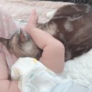 뽀미까까 | 여름의 끝자락에서 담아낸 8월의 기록 🫧