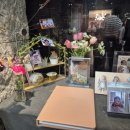 더나무 | 내돈내산 양산 더파티 돌잔치 후기 - 나무티비 스토어 성장동영상