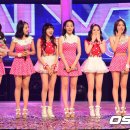 카라 이미지