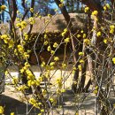 김유정문학마을 이미지