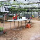 두리농장 이미지