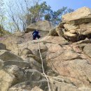 벚꽃화장실 이미지