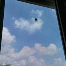 견생식탁 | [8/5] 행성은 너를 주목하고 있어