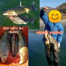 강나루 황토집 이미지