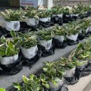 상장동행정복지센터 이미지