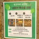 막창에반하다 | [대구/중구]교동에서 만난 인생 막창과 냉삼-윾진이네