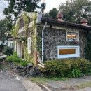 보드게임 타고 그림책 여행 이미지