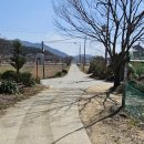 오천2리경로당 Daum카페