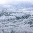 숲속의명품마을 이미지