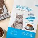 애완강아지 이미지