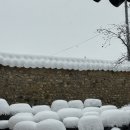 정읍 교동 안진사 고택 | Day2. 눈왔던 안진사 고택,, 눈사람 만들기!! ☃️