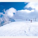 비고리조트 6 이미지