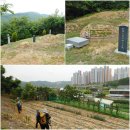 삼아어산 이미지