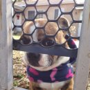 오구오구내새끼 이미지