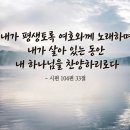 창조주의 티스토리
