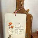 별마루민박 이미지