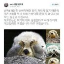 해달 이미지