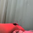 메이~~~~사츠키짜앙~~~