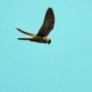 강변길따라 이미지