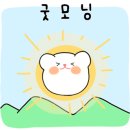 마켓 가는 날에