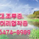 밤에 피는 꽃 86 이미지