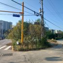 안용주골 이미지