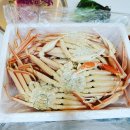 동광팬션 이미지