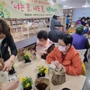 식물테라피