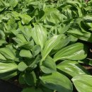 곰밭농장 이미지