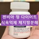 젠비아정 효능 섭취 후기 다이어트 효과 복용 시 주의사항 GLP-1 성분