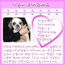 희망토토 이미지