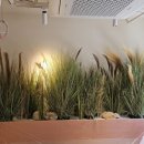 카페 솜(somm) 이미지