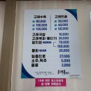 고래천국 이미지