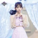사쿠라 이미지