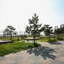 명파 해변 오토캠핑장