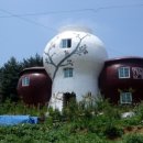 항아리집 이미지