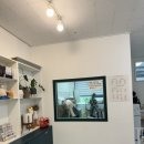 그루밍 멍 이미지