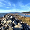 비치파크 이미지