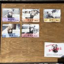 대왕곰목장 | 홋카이도 노보리베츠 혼자 가 볼래!!?? (쿠마(곰)목장편)